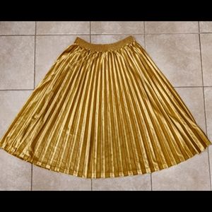 Velvet, Pleated Skirt